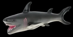 Animal World Sea Collection