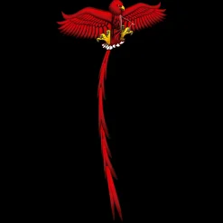 Aquilone Farfalla Aquilone Aquila