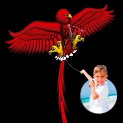 Aquilone Farfalla Aquilone Aquila