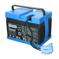 Batteria 12V/12Ah Peg Perego