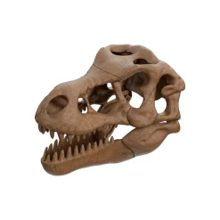 Clementoni 19324 Archeogiocando Kit T-Rex 2In1