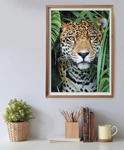 Clementoni High Quality Collection Puzzle Jaguar In The Jungle 500 Pezzi