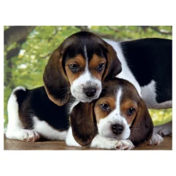 Clementoni Puzzle High Quality Collection Close Together 500 Pezzi, Puzzle Adulti