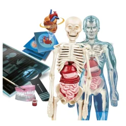 Clementoni Scienza E Gioco Lab Anatomia Super, Laboratorio Scientifico