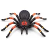 Creepy Set Tarantula, Snake, Small Spider