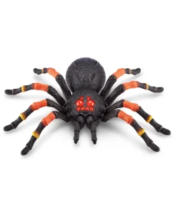 Creepy Set Tarantula, Snake, Small Spider