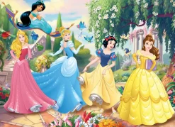 Disney Puzzle Df Maxi Floor 108 Princess Princess Forever