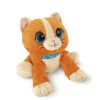 Dolce Gattino Cucu