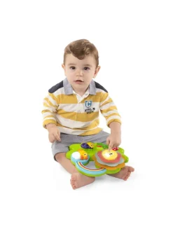 Fiore Sensoriale Sense&Focus Chicco