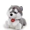 Fluffy Husky