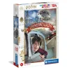 Harry Potter 104 Pezzi