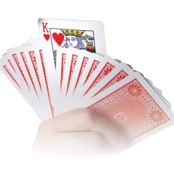 Magia Sbalorditiva 30 Incredibili Trucchi Con Le Carte