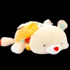 Maxi Peluche Attivita' Orsetto
