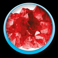 Microscopio 1200