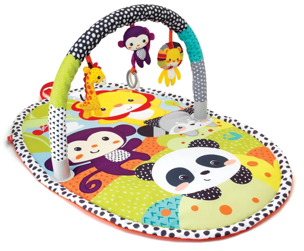 Palestrina Activity Gym