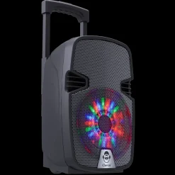 Party Go 100W