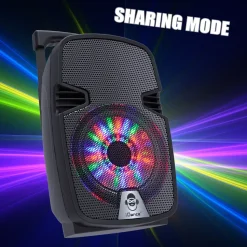 Party Go 100W