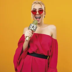 Party Microphone