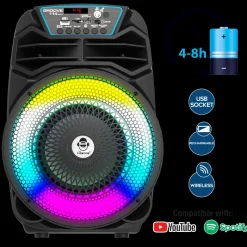 Party Speaker 100W