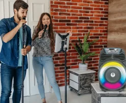 Party Speaker 100W
