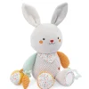 Rene Coniglietto Peluche Attivita 25Cm